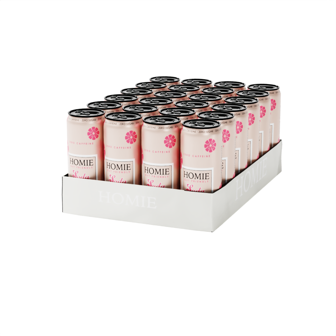 Limonata simbiotica sveglia x 24 